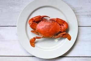 fresh crab on white plate background, seafood crab cooking food boiled or steamed crab red in the seafood restaurant - top view photo