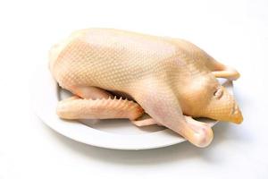 Raw duck on white background, Fresh duck meat for food, Whole duck on white plate photo