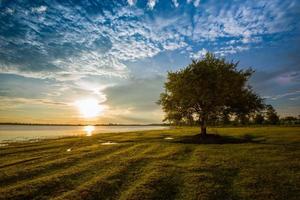 paisaje de árboles hermosa puesta de sol de árbol de pie cerca del río y hermoso amanecer o atardecer con árbol solo y sol cielo colorido foto