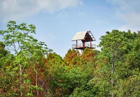 torre de caza mirador ver fauna animal en el bosque foto