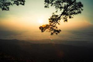 sunset or sunrise beautiful warm sky on top view hill mountain cliff and branch pine tree landscape with fog mist photo