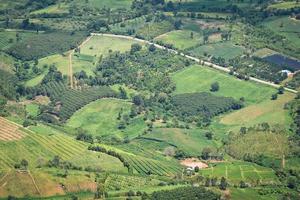 vista superior del área agrícola de campo verde con curva de carretera en la montaña foto