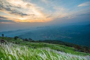 paisaje amanecer en la montaña con campo y pradera hierba verde flor blanca y hermoso cielo nuboso foto