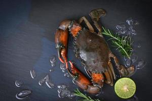 raw crab on black background , fresh mud crab with ice and with herbs and spices rosemary lemon lime for cooking food in the seafood restaurant photo