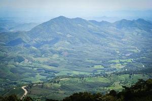 Top view green field agricultural area with road curve on the moutain photo