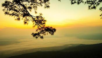 sunset or sunrise beautiful warm sky on top view hill mountain cliff and branch pine tree landscape with fog mist photo