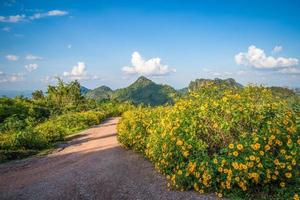 paisaje tailandia hermoso paisaje de montaña vista en la colina con campo de flores de caléndula de árbol foto