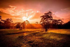 Dramatic landscape sunset on field and meadow with rural countryside and forest tree