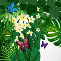 Floral design background. Plumeria flowers, tropical leaves and butterflies. vector