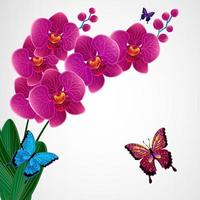 fondo de diseño floral. flores de orquídeas con mariposas. vector