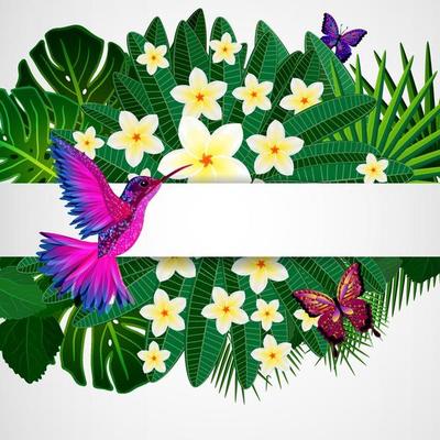 Tropical floral design background with bird, butterflies.