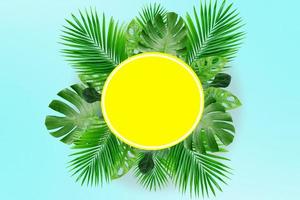 Tropical leaves with white copy space background.Nature and summer concepts photo