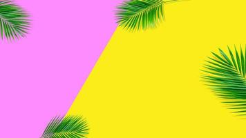 composición de verano. hojas de palmeras tropicales sobre fondo amarillo. concepto de verano. foto