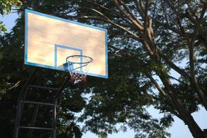 A Basketball Hoop by Trees photo