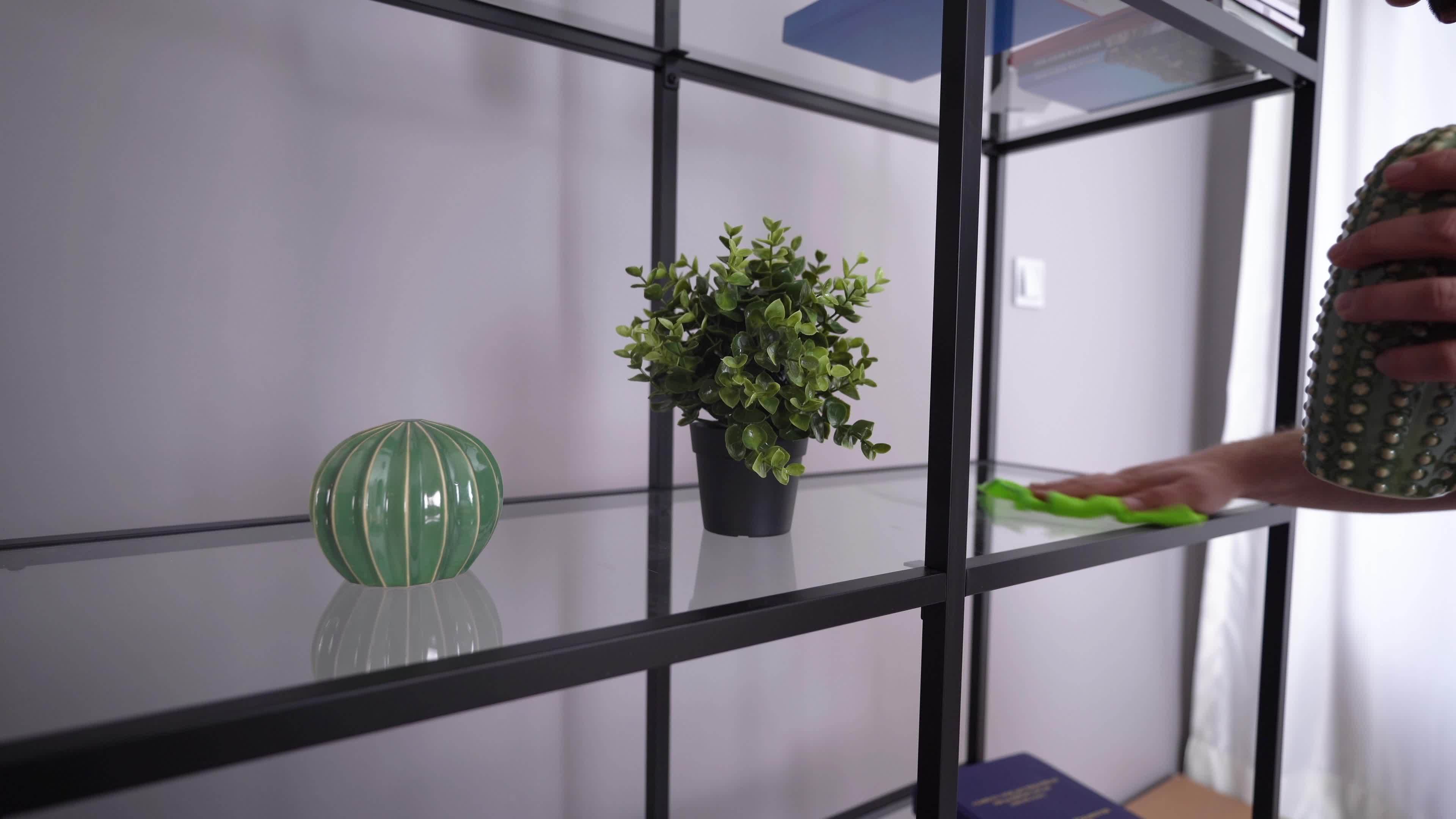 Dusting with a Cloth at Home. The man is dusting the house. 8728314