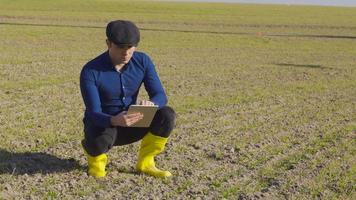 traktor agrochemisches landwirtschaftliches sprühen. Der Bauer, der sich zwischen die kleinen Setzlinge setzt, nimmt die Erde aus dem Boden, analysiert sie und notiert sie auf dem Tablet. video