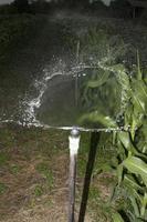 regar el maíz en crecimiento con springer para ahorrar energía en las noches casi oscuras de los agricultores rurales en tailandia. foto