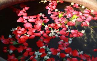 Jasmine and Rose floating in the water, beautiful for use in religious rituals, is the belief and faith of Thai people. photo