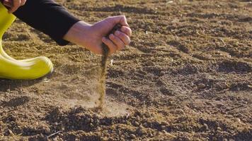 The farmer takes the soil with his palm and pours it. Farmer scooping soil in farmland. He takes the soil and pours it down from his palm. video