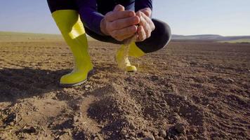 Grabs and pours the soil with the farmer's hand. Farmer scooping soil in farmland. He takes the soil and pours it down from his palm. video