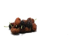 fruta de morera - sobre fondo blanco - fruta alimenticia - para la salud como hierba medicinal - criando gusanos para producir seda. foto