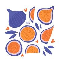 conjunto de higos enteros y en rodajas aislados sobre fondo blanco. ilustración vectorial de frutas en un estilo plano. dulces naturales. colección abstracta de alimentos saludables. vector