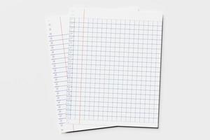 Square background illustration with a grid in the center and a border on it. Checkered  graph background mockup with note field. Sheet from a school notebook. 3D illustration photo