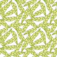 Linear tropical palm leaves seamless pattern. Exotic botanical texture. vector