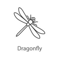 Dragonfly linear icon. Insect. Thin line illustration. Contour symbol. Vector isolated outline drawing