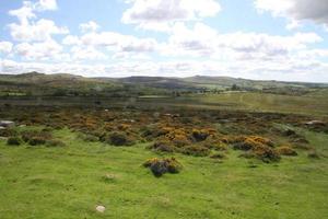 A view of Dartmoor National park in Devon from the summit photo