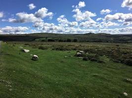 A view of Dartmoor National park in Devon from the summit photo