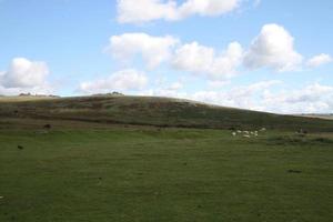 A view of Dartmoor National park in Devon from the summit photo