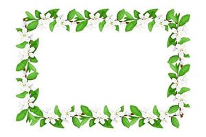 Frame with white flowers bunches. Vector frame.