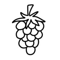 Raspberry fruit. Vector doodle drawing.