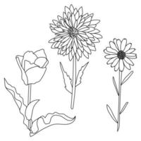 Set of contour flowers of various types, flowering plants with leaves for decoration and design vector