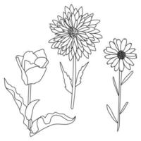 Set of contour flowers of various types, flowering plants with leaves for decoration and design vector