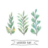Set of handpainted watercolor vector plants and leaves.Design element for summer wedding, spring congratulation card. Perfect floral elements for save the date card. Unique artwork for your design.
