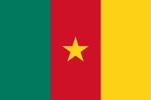 ilustración plana de la bandera de camerún vector