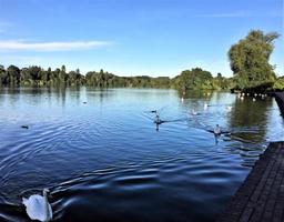 A view of Ellesmere Lake in the evening sun photo