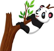 Cartoon panda climbing tree vector