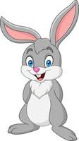 Cartoon rabbit isolated on white background vector