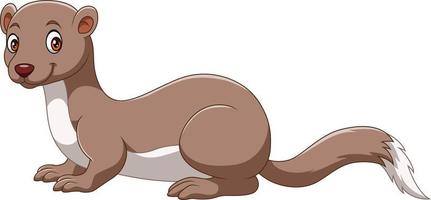 Cute ferret cartoon on white background vector