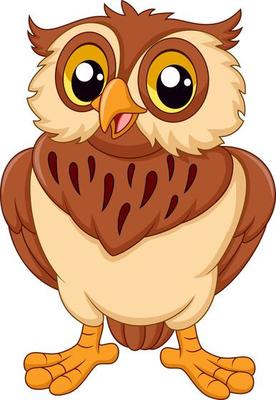Cartoon owl isolated on white background