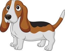 perro de dibujos animados basset hound aislado sobre fondo blanco vector