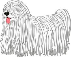 Komondor dog breed vector