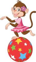 Cartoon circus monkey standing on a ball vector