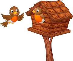 Robin bird at nesting box vector