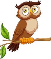Cartoon funny owl on tree branch vector