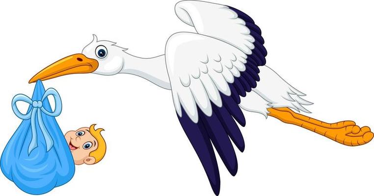 Cartoon stork carrying baby