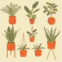 Aesthetic plant on pot vector